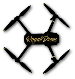 https://royaldrone.fr/wp-content/uploads/2020/10/LOGO-RoyalDrone-e1605388026662.png